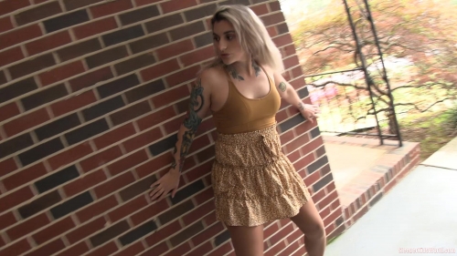 SSP-KARLYS-LAST-MISSION-KARLY-MIA.mp4.0010