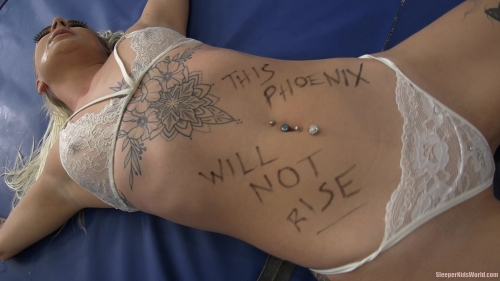 SKW-THIS-PHOENIX-WILL-NOT-RISE-the-machine.mp4.0004